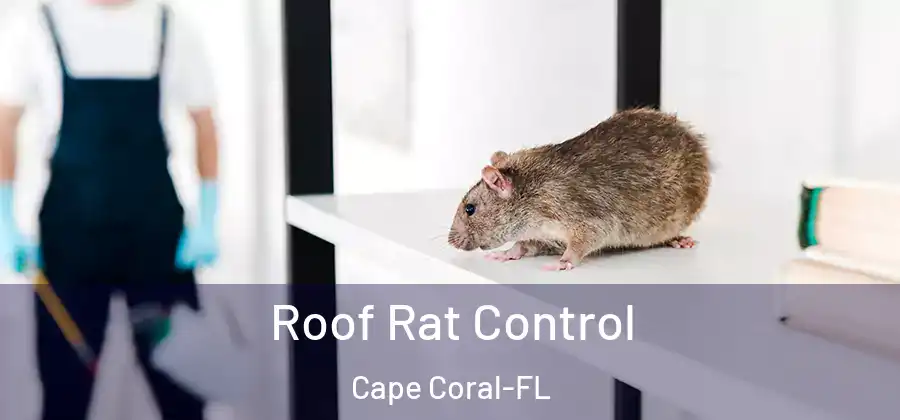 Roof Rat Control Cape Coral-FL