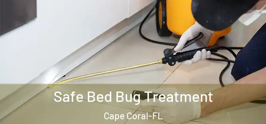  Safe Bed Bug Treatment Cape Coral-FL