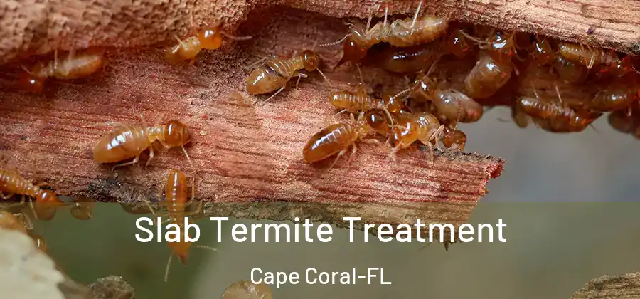 Slab Termite Treatment Cape Coral-FL