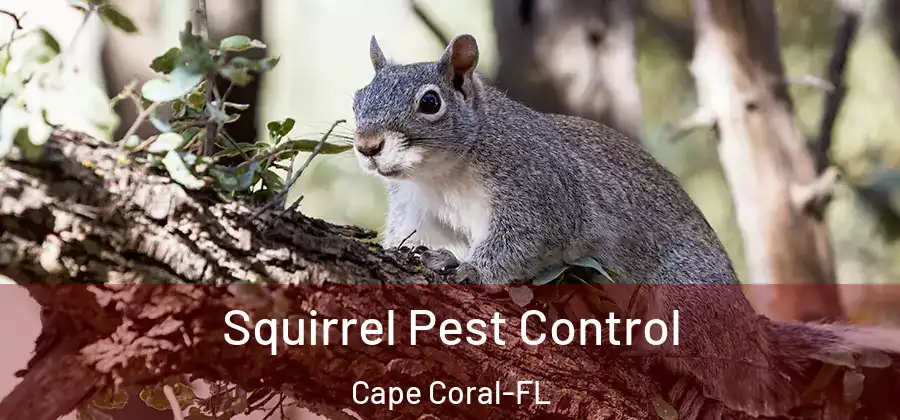 Squirrel Pest Control Cape Coral-FL
