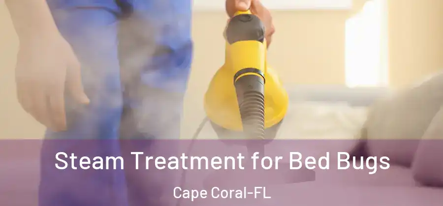 Steam Treatment for Bed Bugs Cape Coral-FL