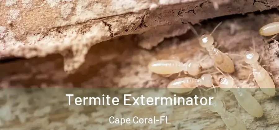 Termite Exterminator Cape Coral-FL