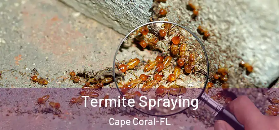  Termite Spraying Cape Coral-FL