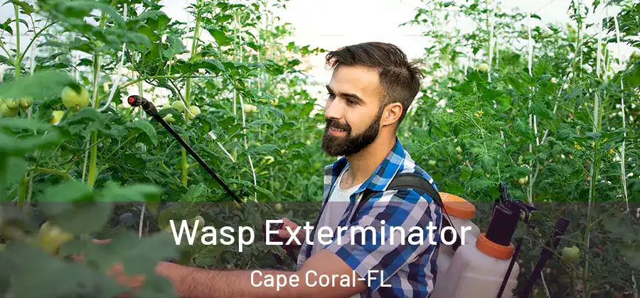 Wasp Exterminator Cape Coral-FL