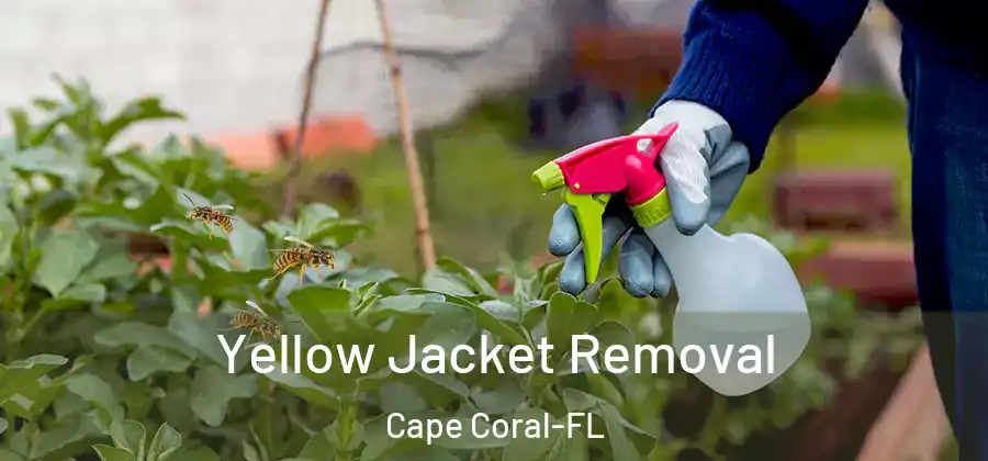  Yellow Jacket Removal Cape Coral-FL